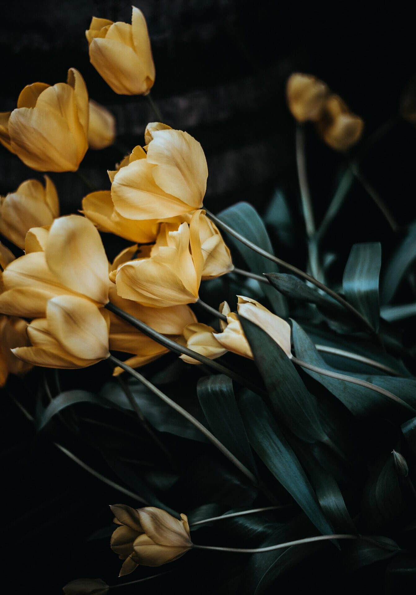 annie-spratt-e92dhXE8PUg-unsplash